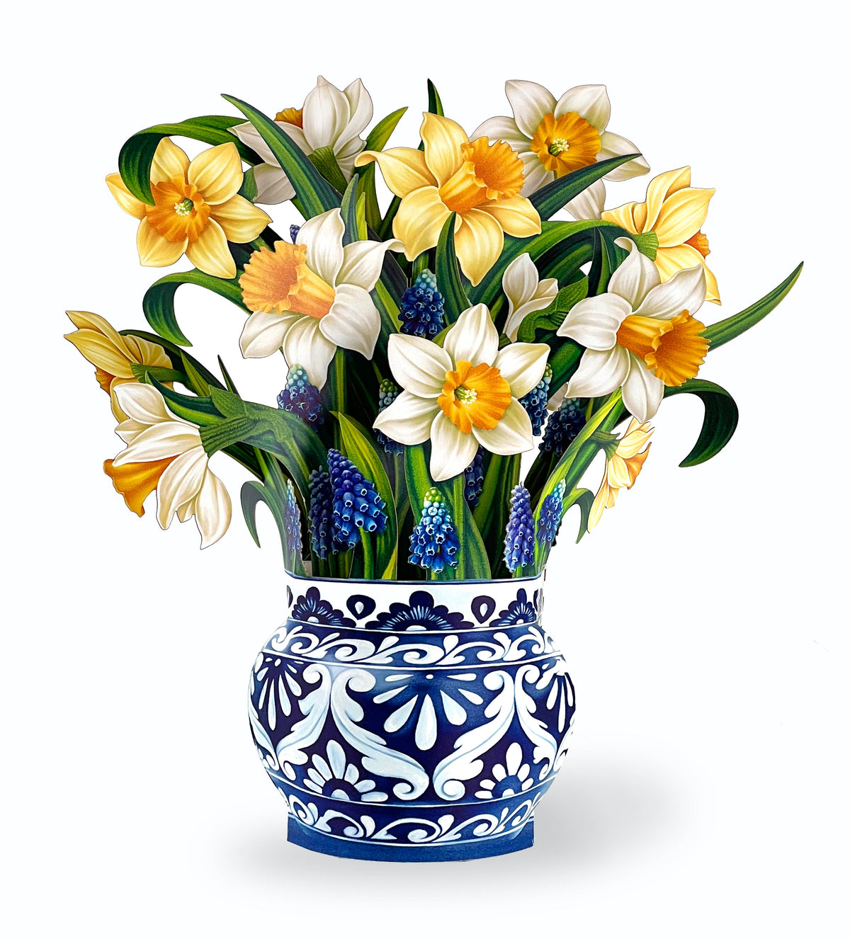 English Daffodils