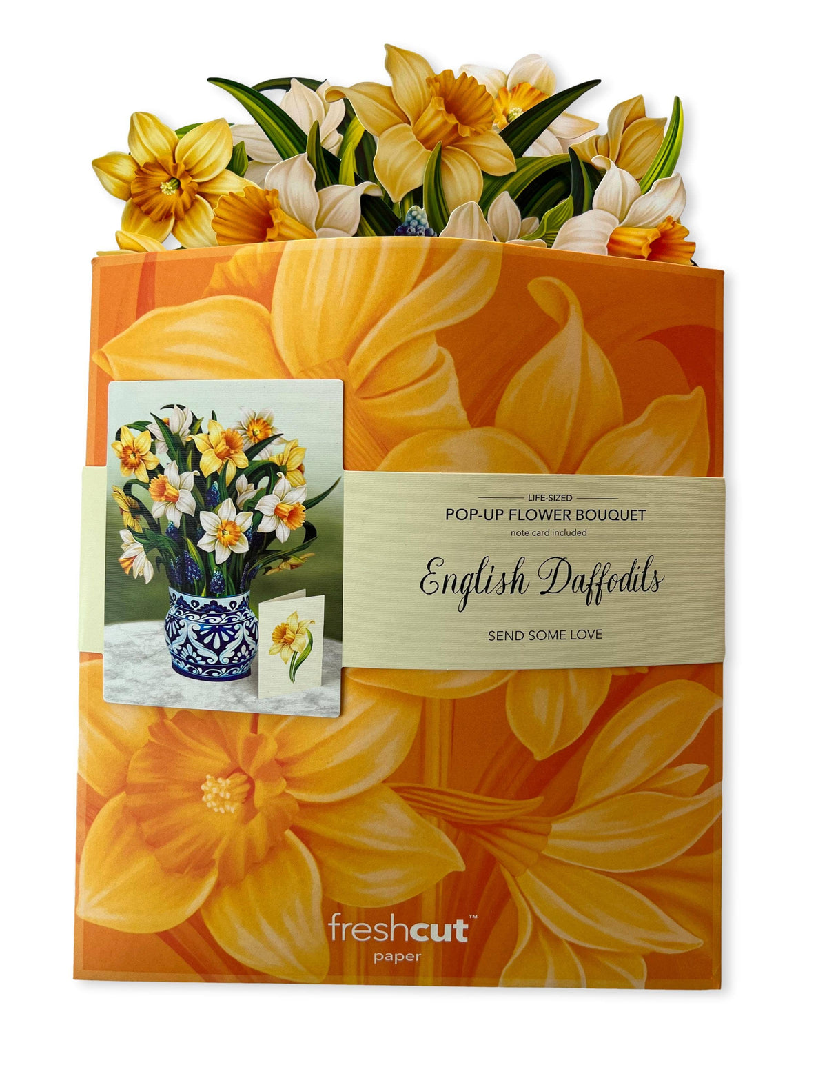 English Daffodils