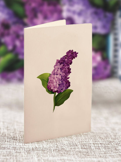 Mini Garden Lilacs