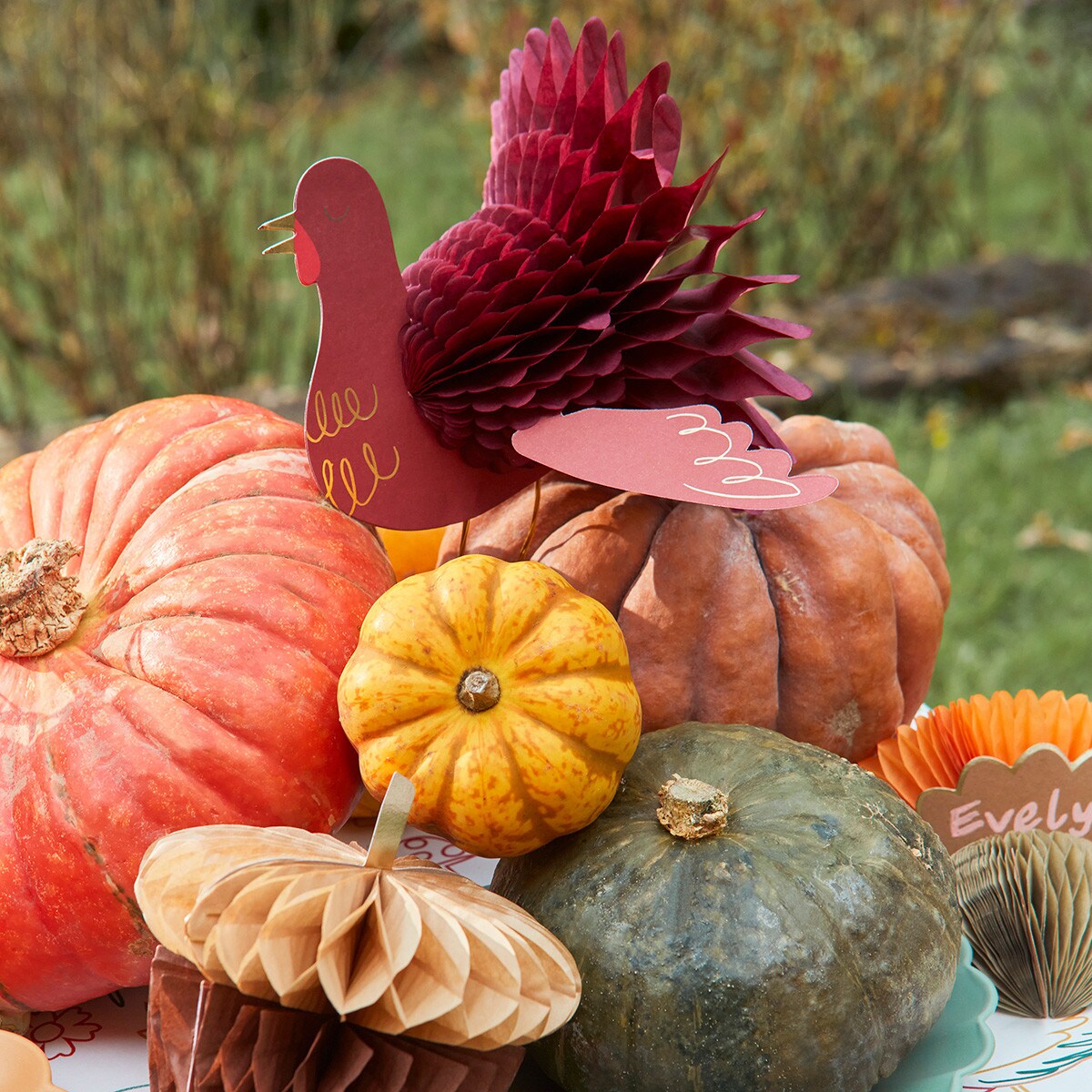 Mixed Thanksgiving Honeycomb Decorations (x 11)